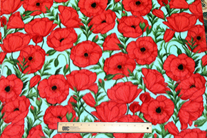 ppea8b5308.jpg